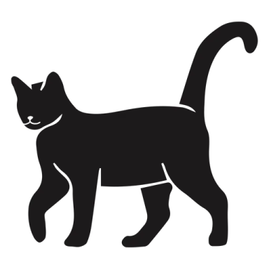 a black cat silhouetted on a white background