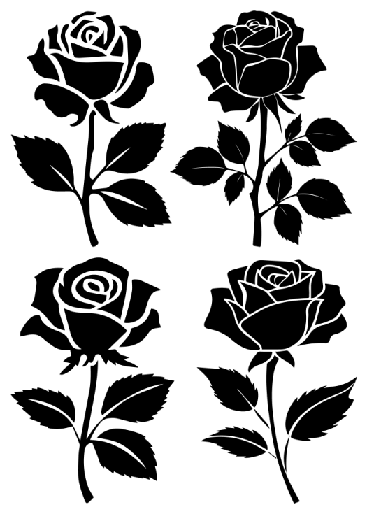 a set of black roses on white background