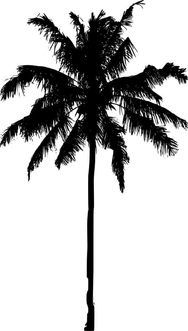a black and white silhouette of a palm tree