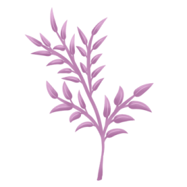 a branch with purple leaves on it