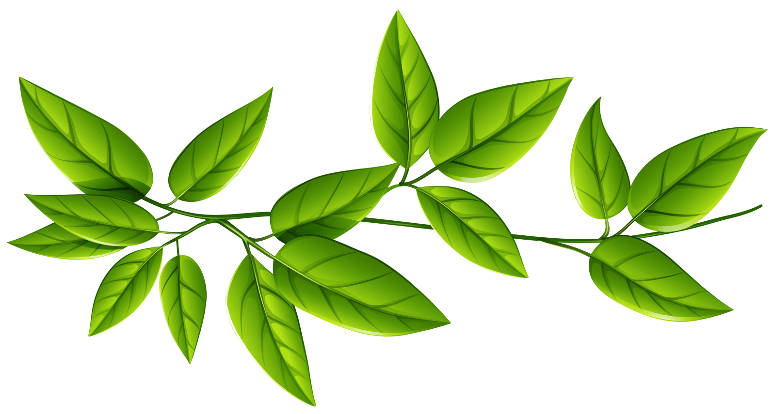 a branch with green leaves on it