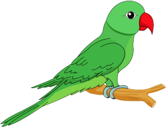 a green parrot sitting on a branch