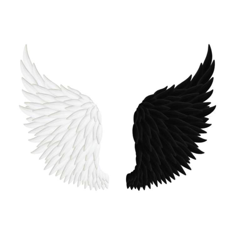 a pair of black and white wings