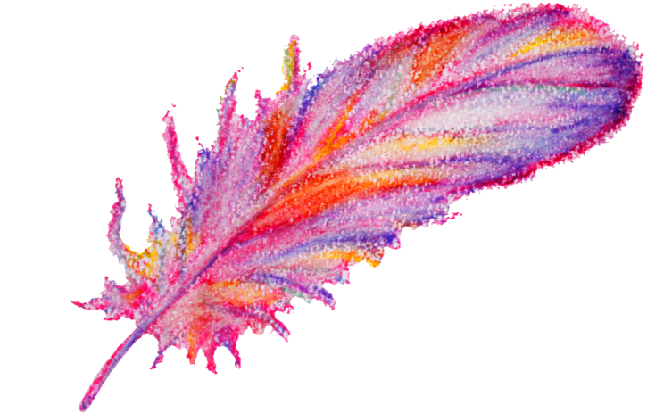 a colorful feather on a white background