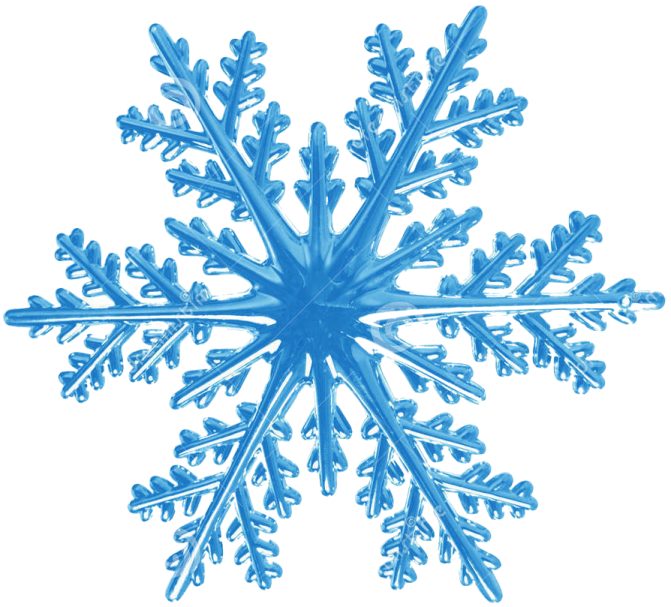 an image of a snowflorer