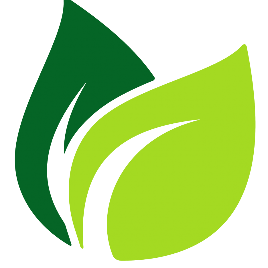 a green leaf logo on a white background