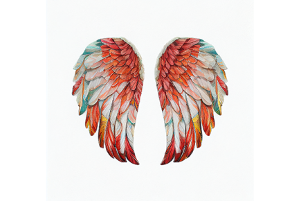 a pair of wings on a white background