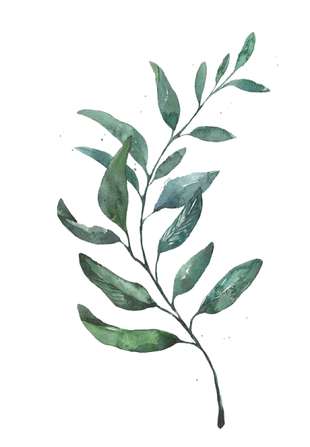 a watercolor painting of green leaves