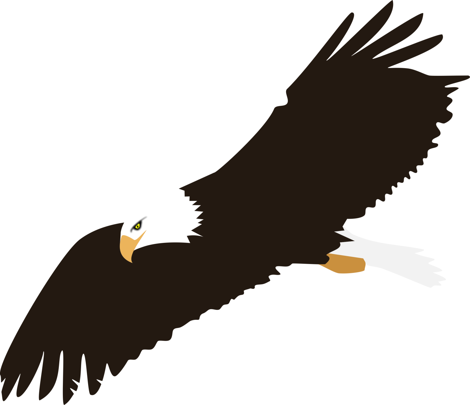 an eagle flying in the sky