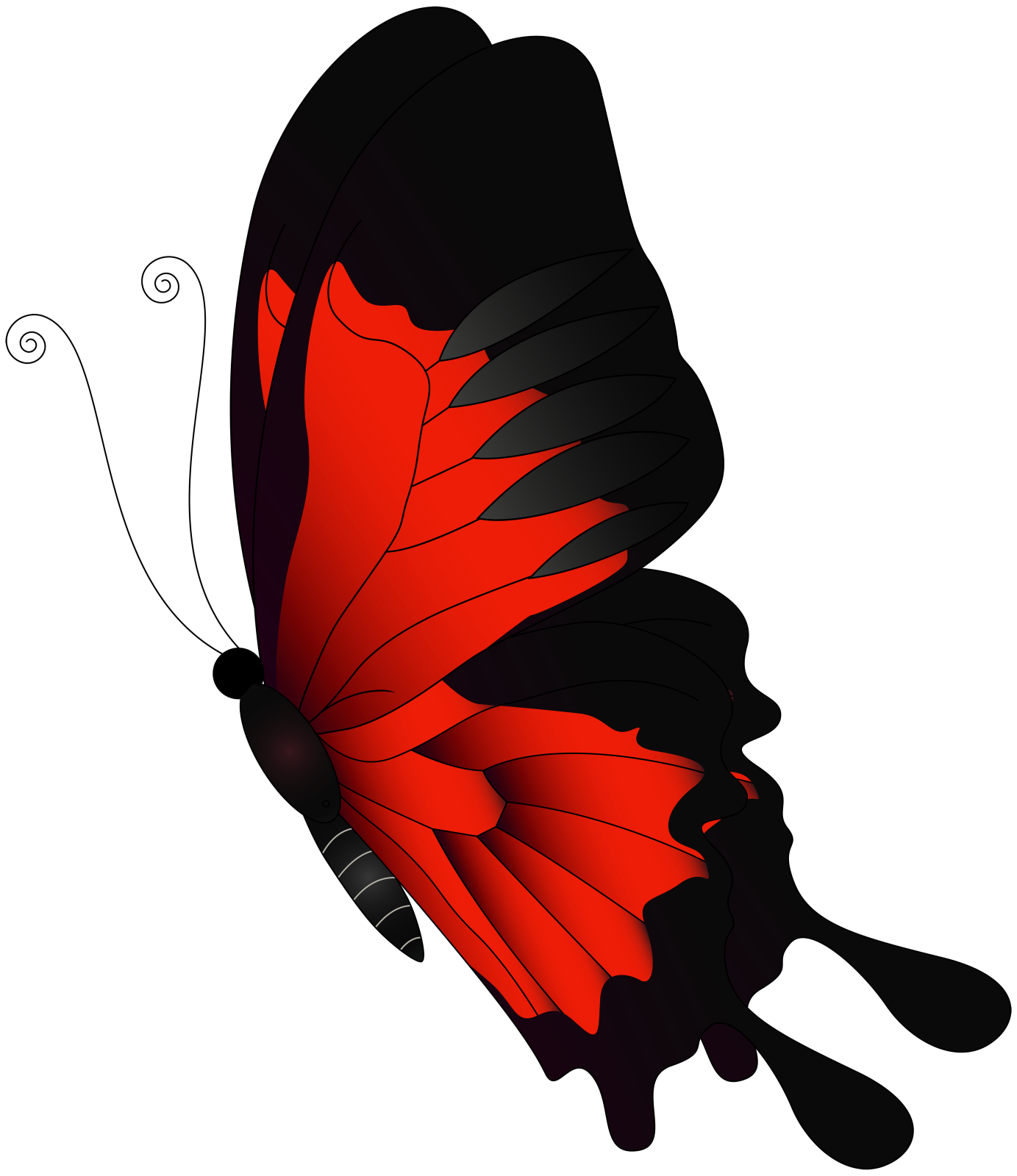 a red butterfly on a white background