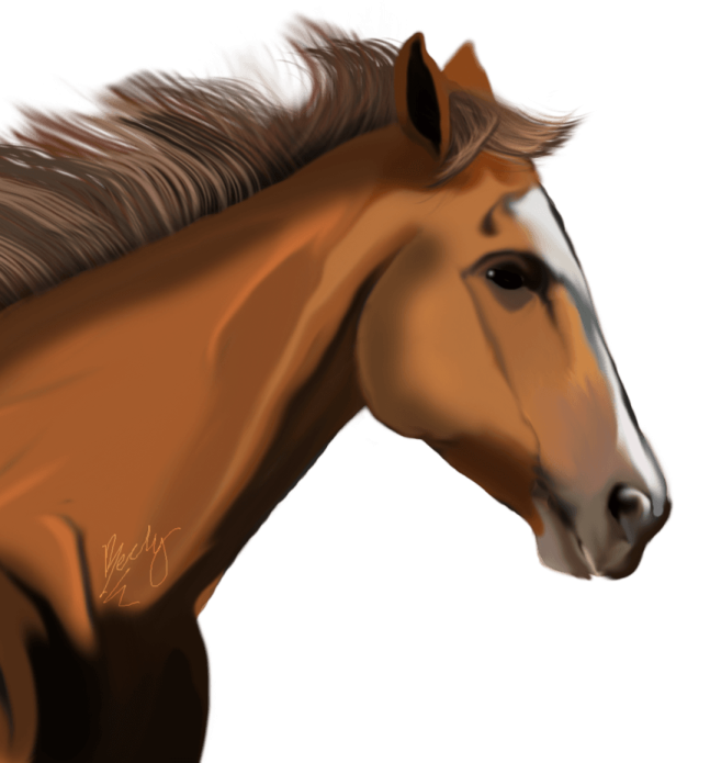 a drawing of a horse with long hair