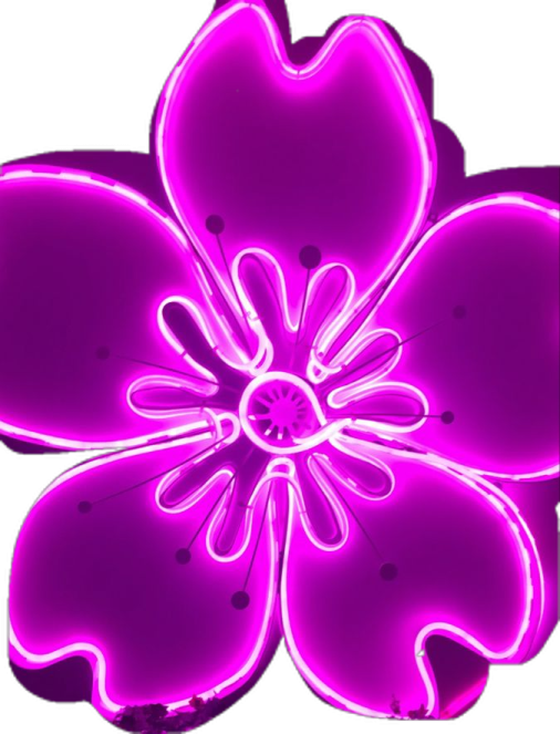 a purple flower with black spots on it