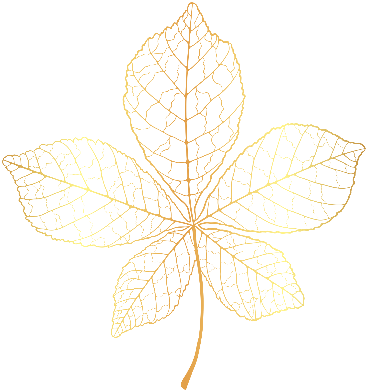 a drawing of a leaf