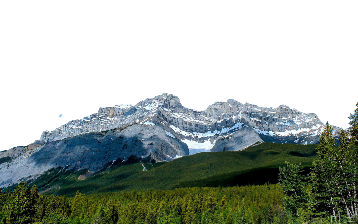 a group of trees in front of mountains