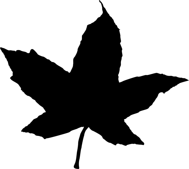 a black and white silhouette of a leaf