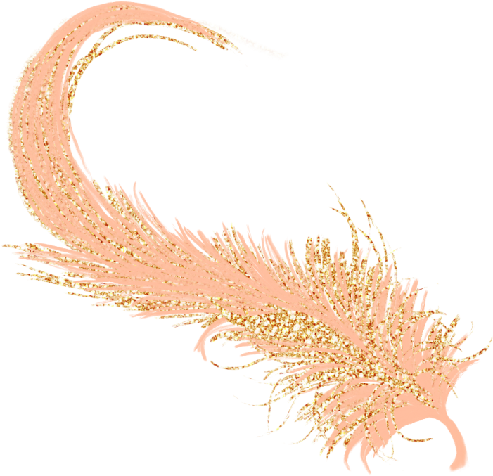 a gold feather on a white background