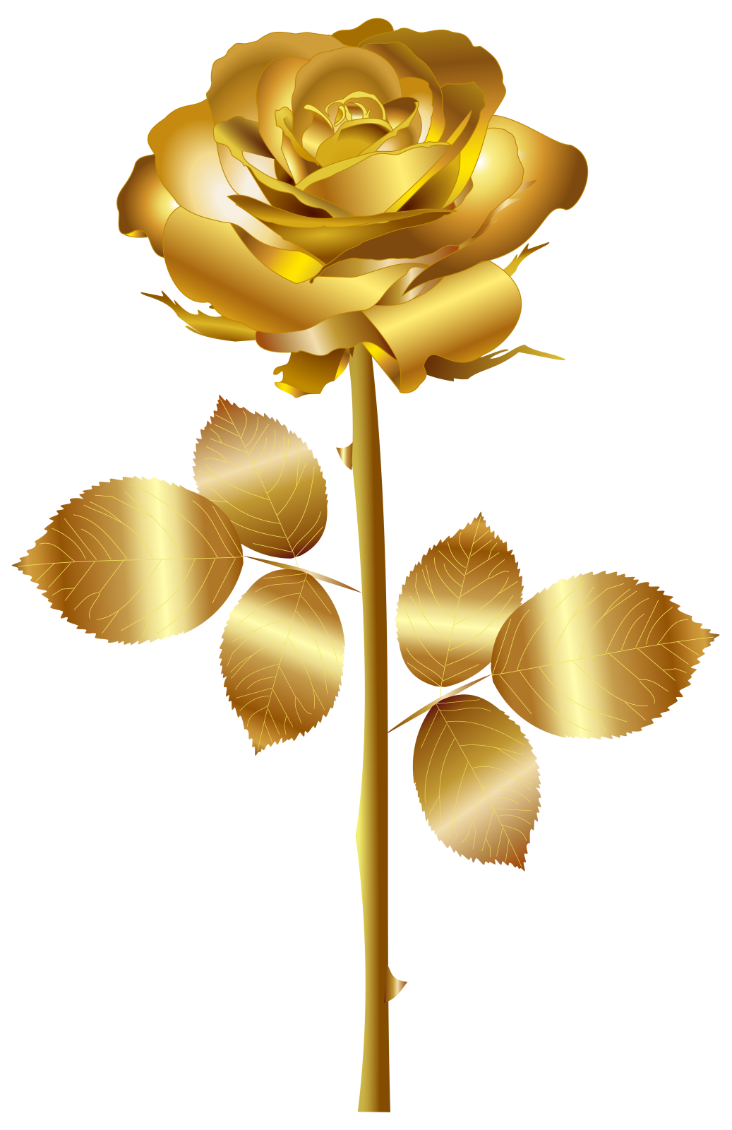 a golden rose on a white background