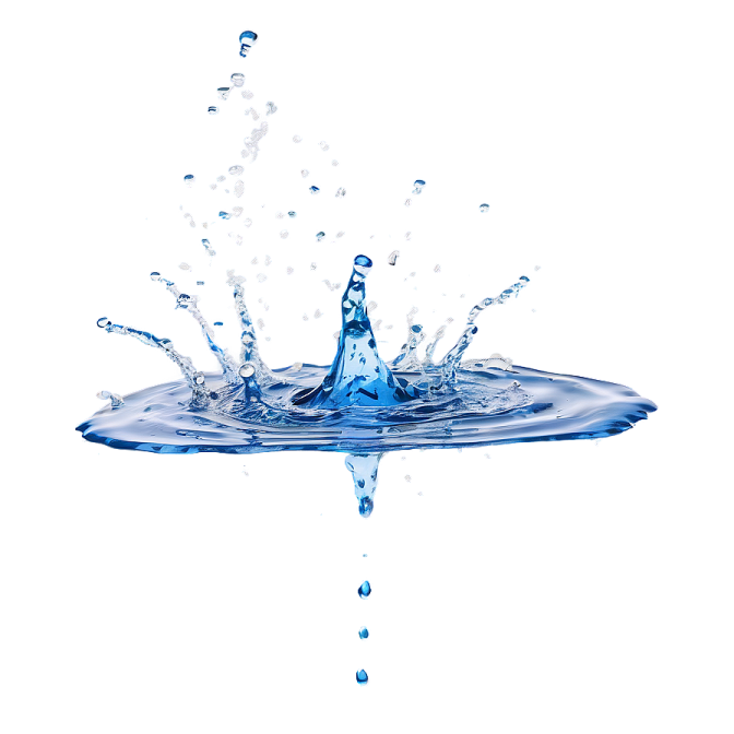 a splash of water on a white background