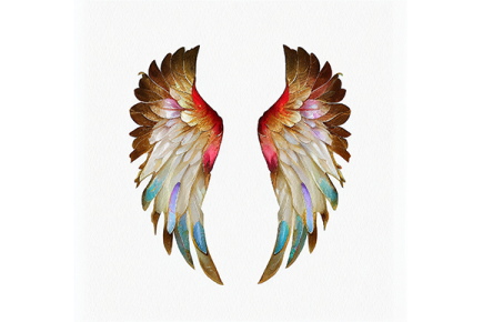a watercolor painting of two wings
