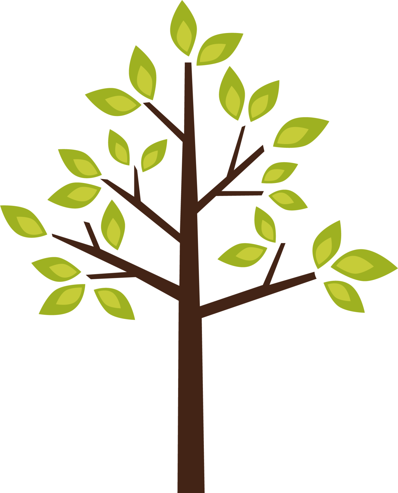 a tree with green leaves on it