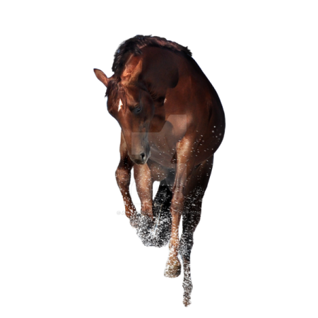a brown horse is running in the snow