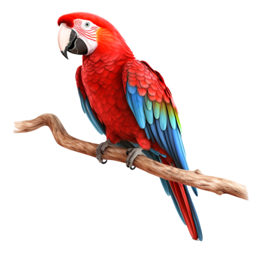 a red and blue parrot perched on a branch