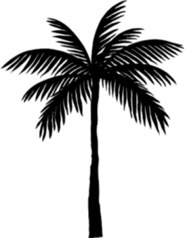 a black and white silhouette of a palm tree