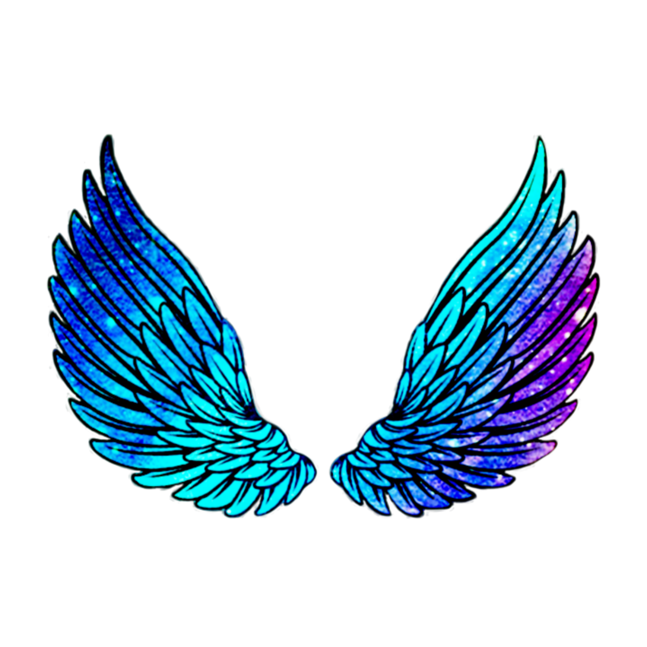 a pair of blue and purple wings
