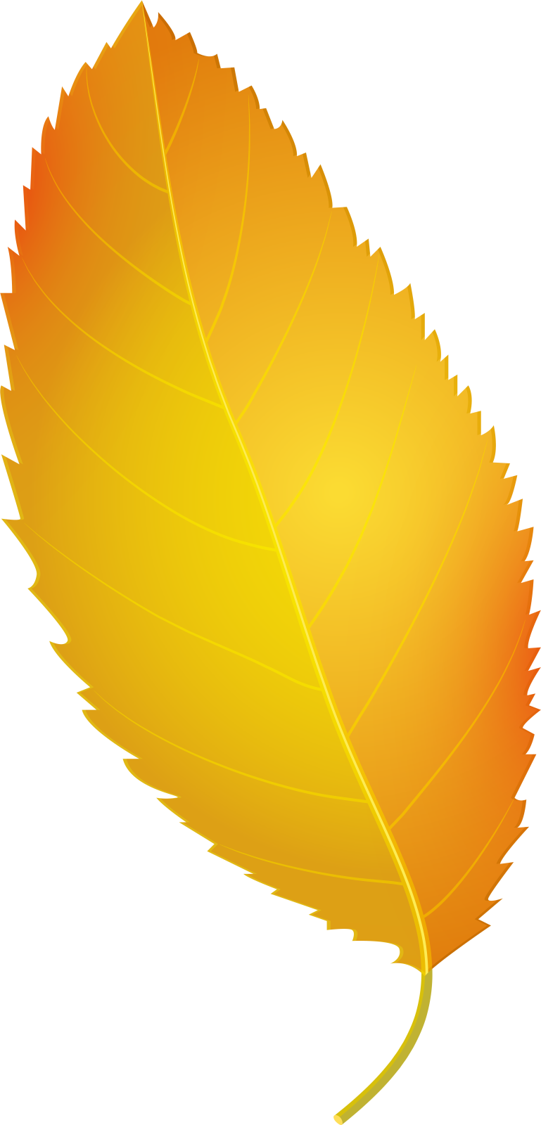 a yellow leaf
