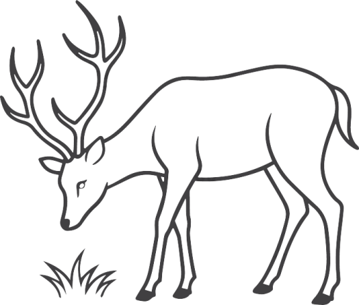 a deer standing in the grass coloring page