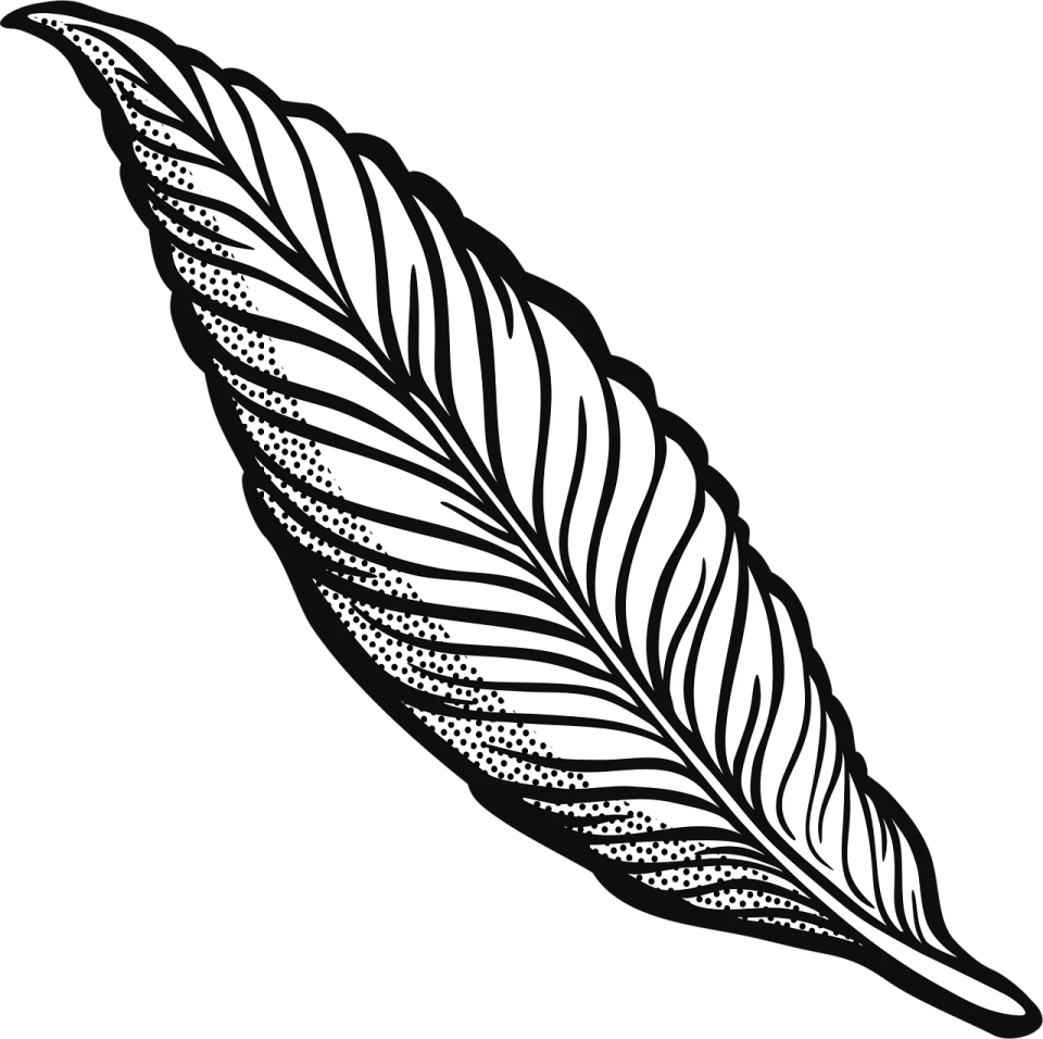 a black and white drawing of a feather