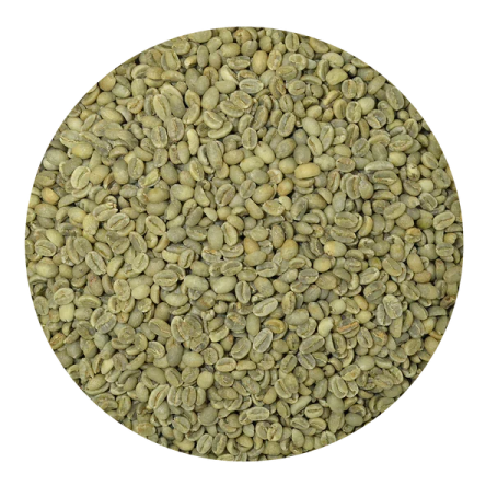 a pile of green coffee beans