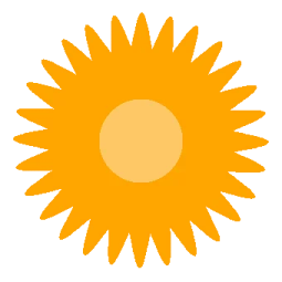 a sunflower on a white background