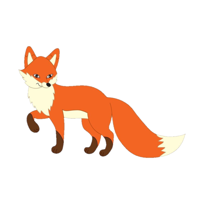 a red fox standing in front of white background
