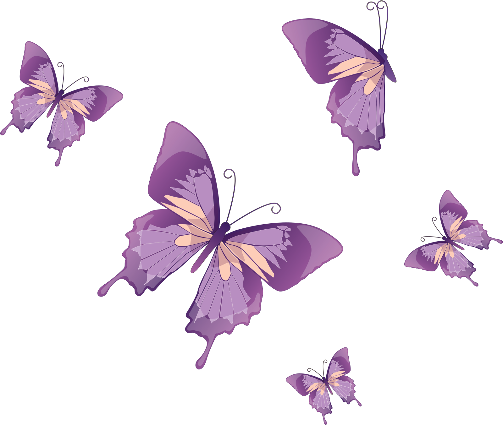 three purple butterflies on a white background