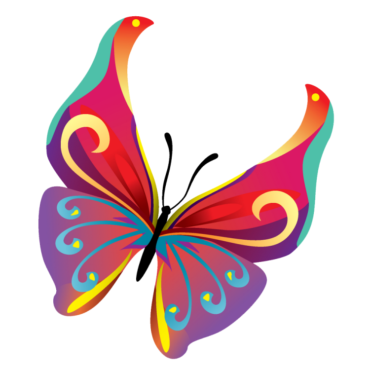 a colorful butterfly on a white background