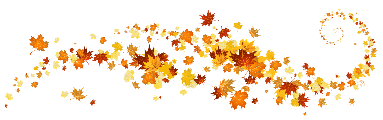 an image of a bunch of leaves