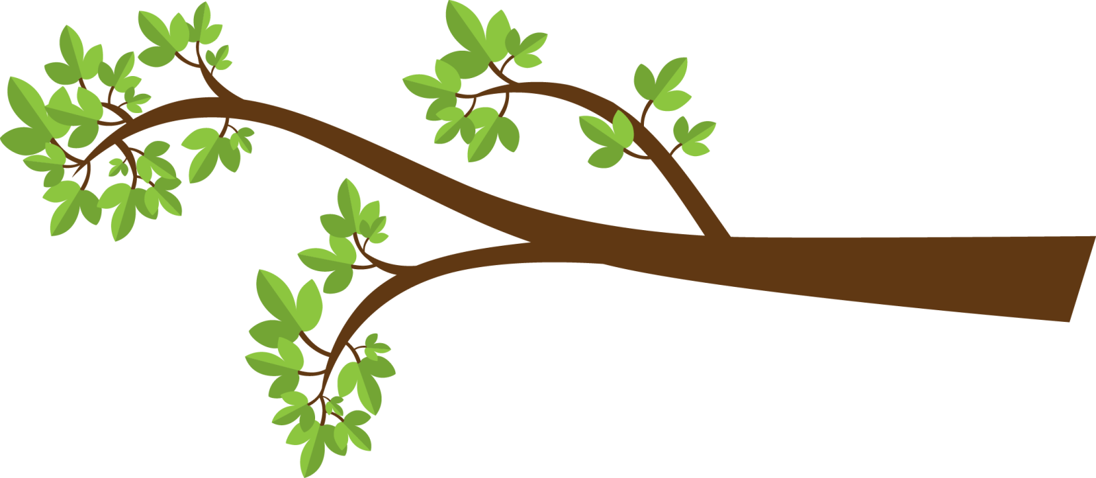 a branch with green leaves on it