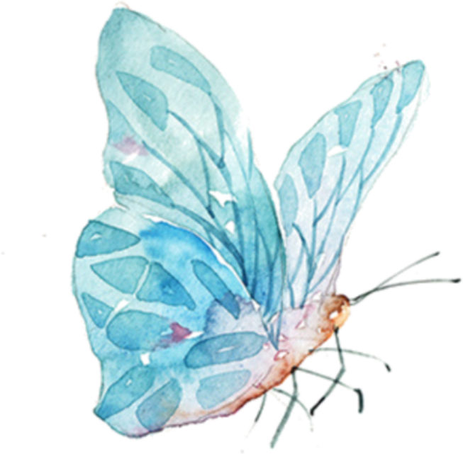 a watercolor painting of a blue butterfly