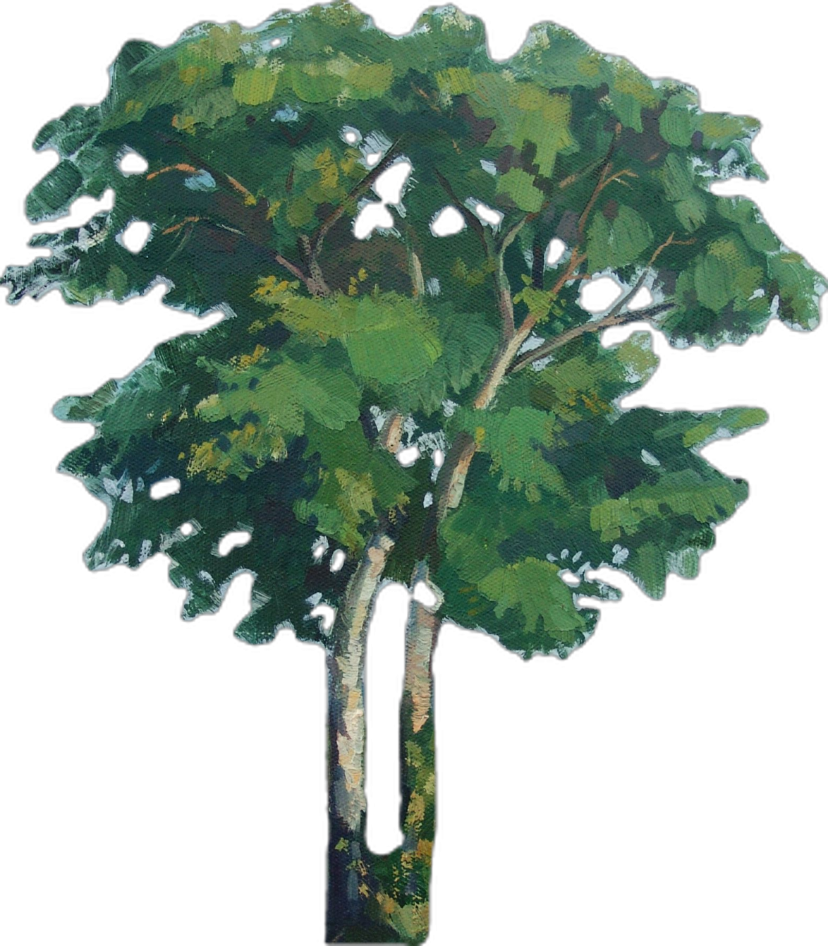 a painting of a tree on a white background