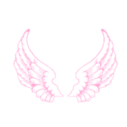 a drawing of two wings