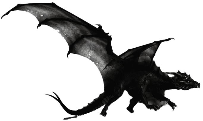 a black and white photo of a dragon