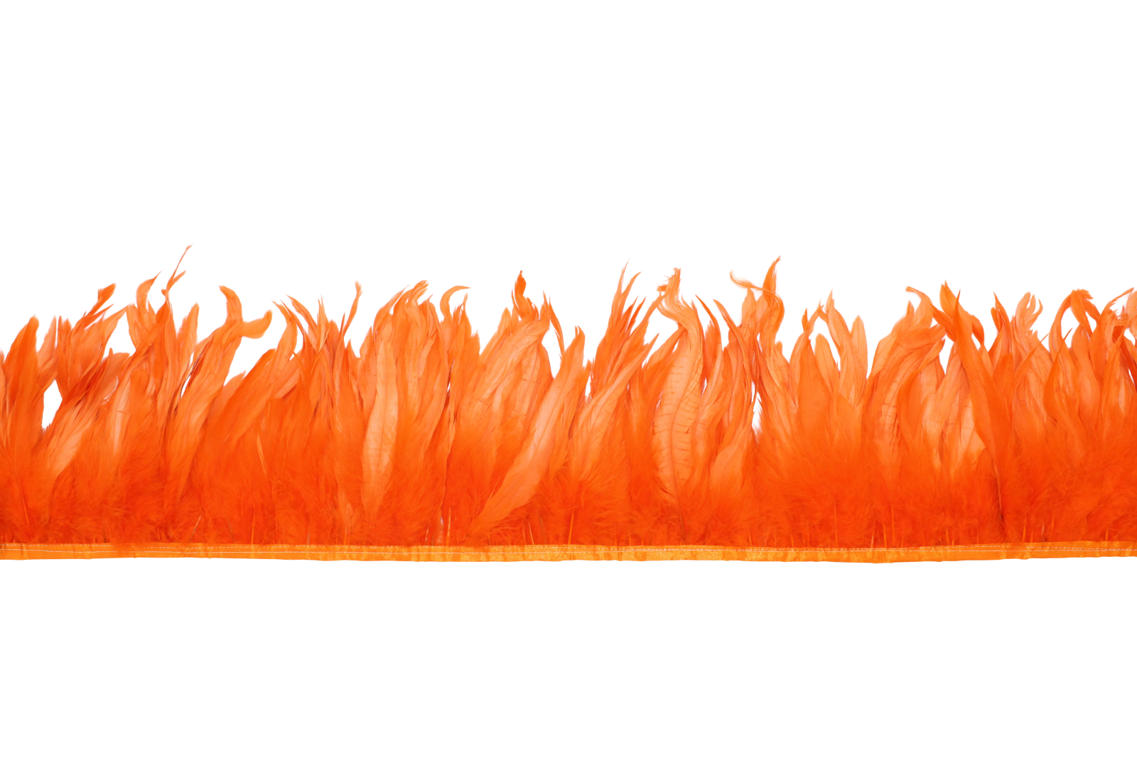 orange feathers on a white background