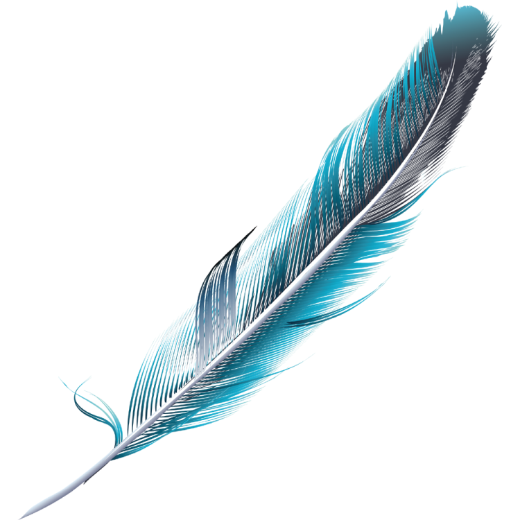 a blue feather on a white background