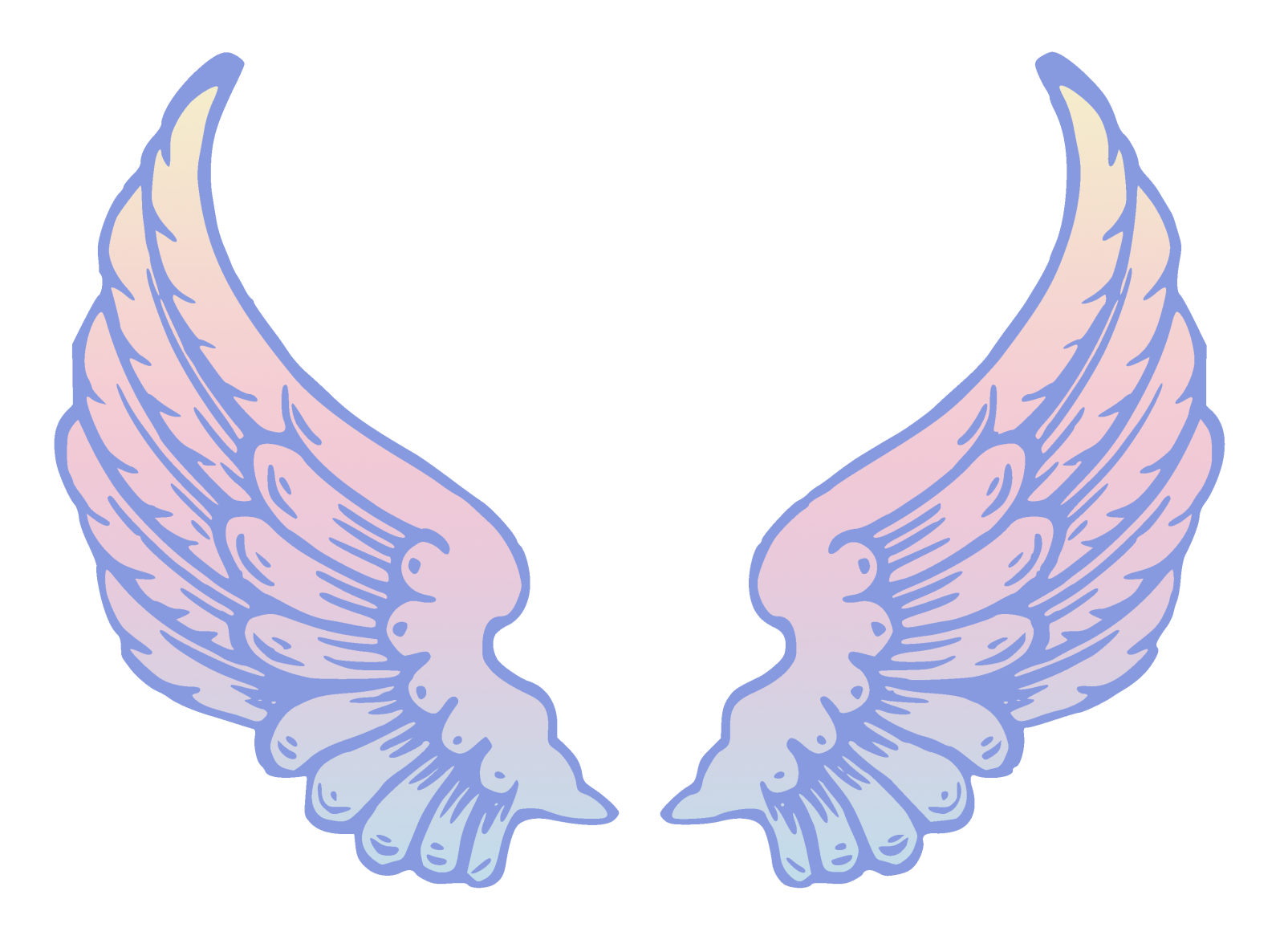 a pair of pink and blue wings