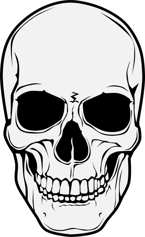 a black and white drawing of a skull