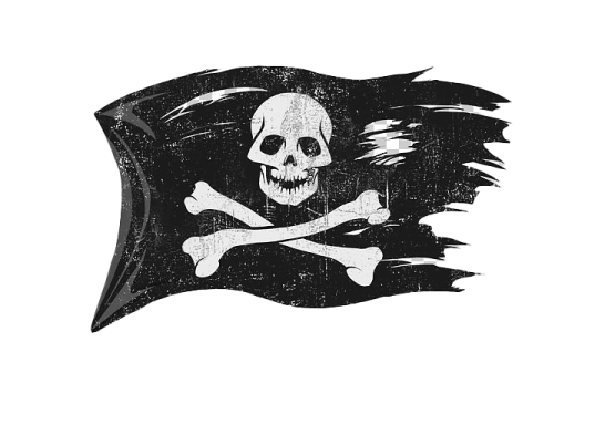 a pirate flag with a skull on it