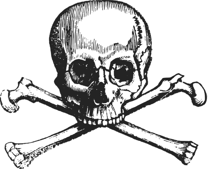 a skull and cross bones on a white background