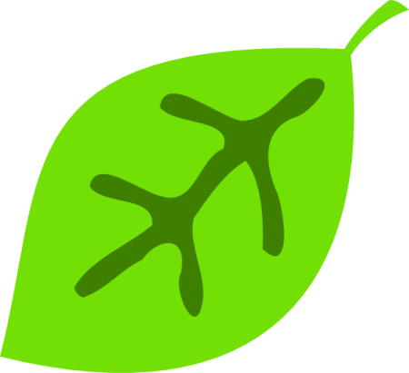 a green leaf with two leaves on it