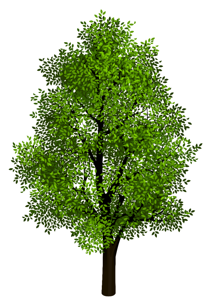 a green tree on a white background
